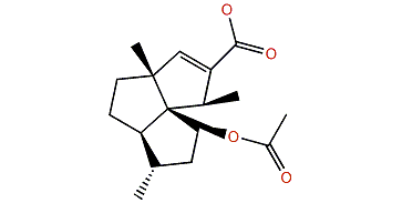 2b-Acetoxysubergorgic acid